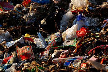 Garbage, Beijing