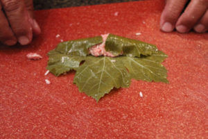 Wrapping a grape leaf (Lif Wariq duwally) 4