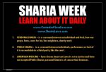 Anti-Sharia rallies are bad for America – Mike Ghouse