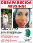 Arab American National Museum “docent” missing in Peru