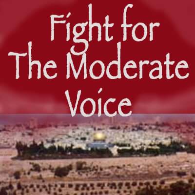 Fight for The Moderate Voice Reddit Logo